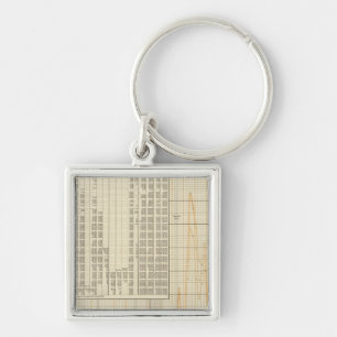 Coinage of US Keychain