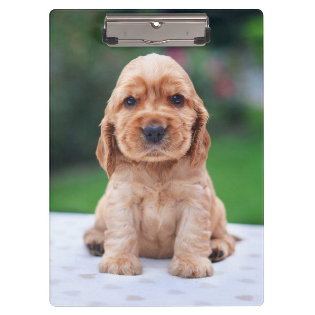 Coker Spaniel Puppy Clipboard (Front)
