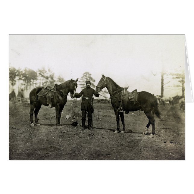 Col. Sharpe's horses (Front Horizontal)