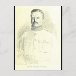 Col. Theodore Roosevelt Postcard
