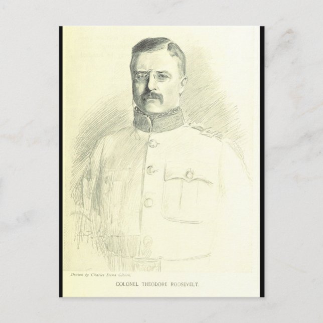 Col. Theodore Roosevelt Postcard (Front)