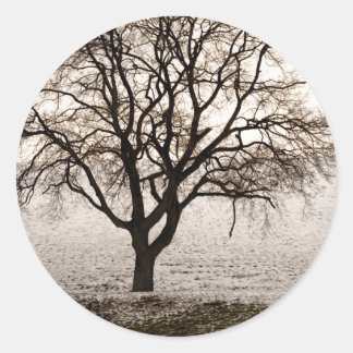 cold and lovely classic round sticker