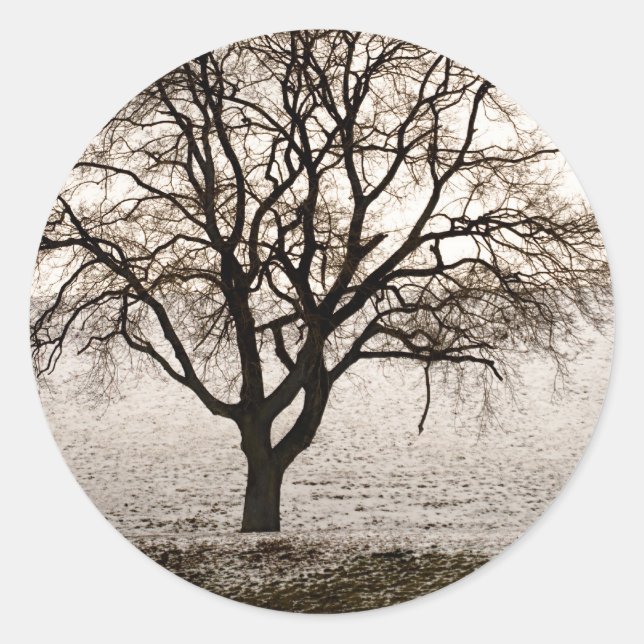 cold and lovely classic round sticker (Front)