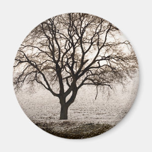 cold and lovely magnet