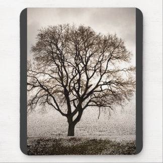 cold and lovely mouse pad
