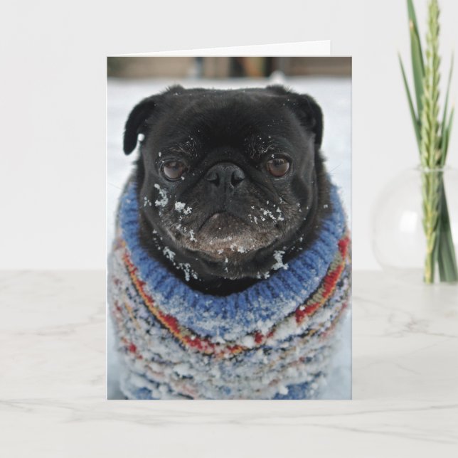 Cold Puggy in the Snow Birthday Greeting Card (Front)