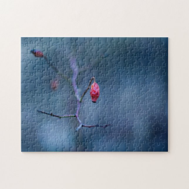 Cold rose puzzle (Horizontal)