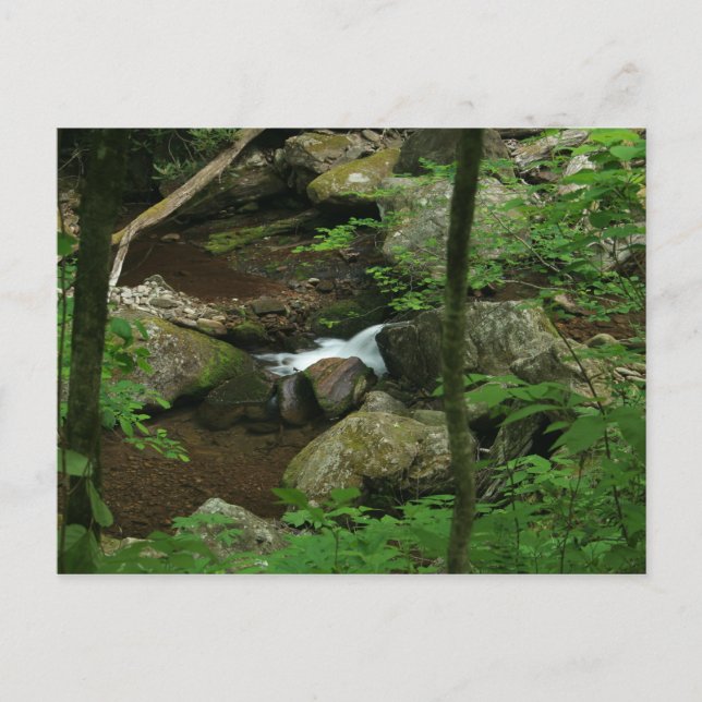 Cold water postcard (Front)