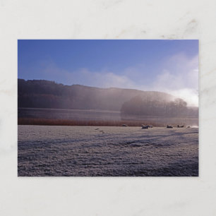 Cold winter morning Esthwaite Water England Postcard
