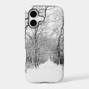 Cold Winter Woodland