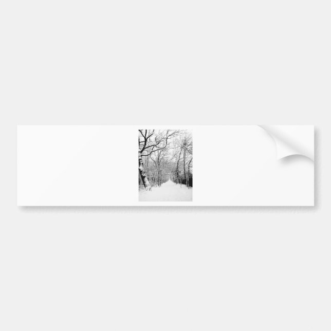 Cold Winter Woodland Bumper Sticker (Front)