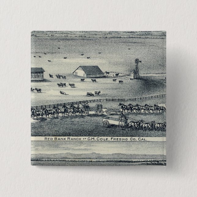 Cole Ranches 2 Inch Square Button (Front)