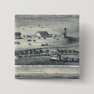 Cole Ranches 2 Inch Square Button