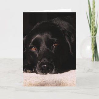 Cole's greeting card