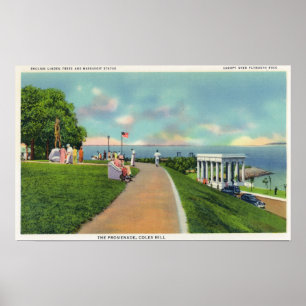 Coles Hill View of the Promenade Poster