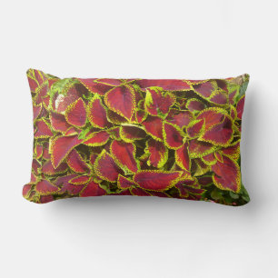 Coleus Flower Patch Pillow
