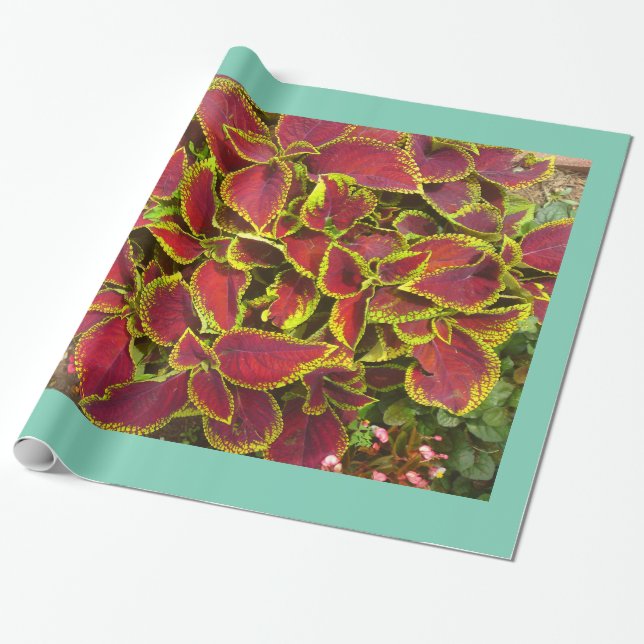 Coleus Flower Patch Wrapping Paper (Unrolled)