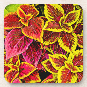 Coleus Leaf Burst Design Coaster
