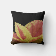 Coleus Leaves