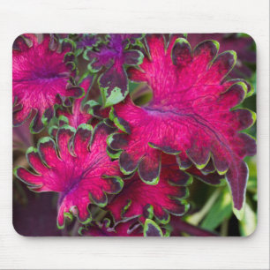 Coleus Macro Mouse Pad