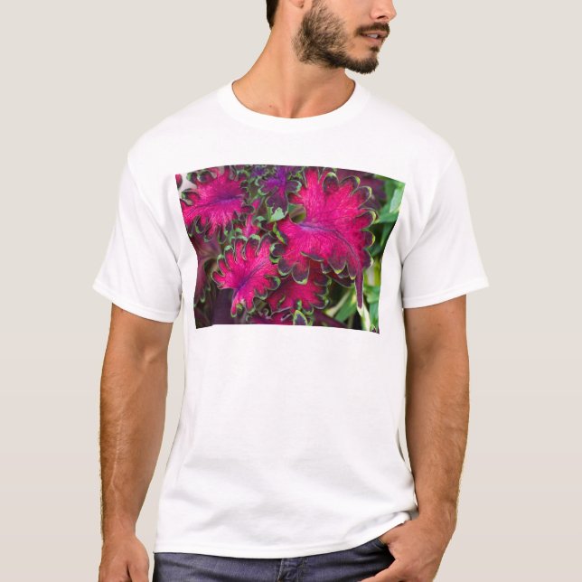 Coleus Macro T-Shirt (Front)