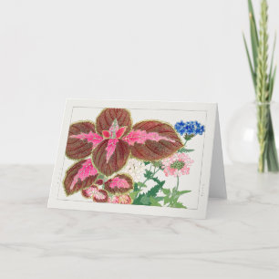 Coleus, Verbena by Tanigami Konan Card