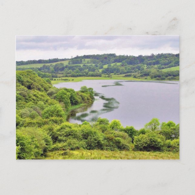 Colgagh Lough Lakes Ireland 4 Postcard (Front)
