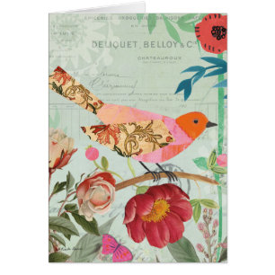 Colibri