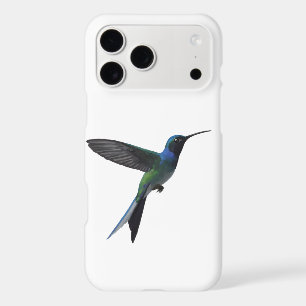 Colibri