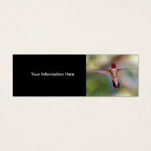 colibri
