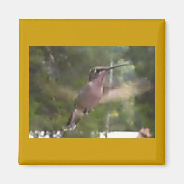 Colibri 1 aimant (Devant)