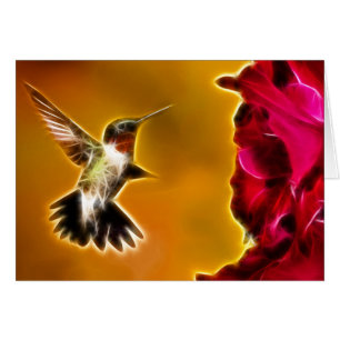 Colibri à gorge rubis