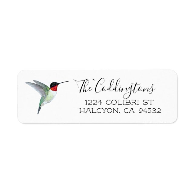 Colibri à gorge rubis (Devant)