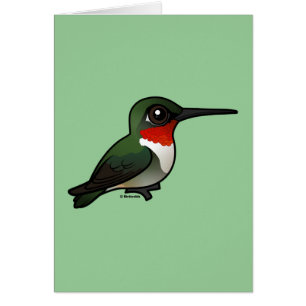 Colibri à gorge rubis