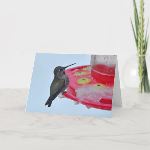 Colibri à l'éleveur congelé - Cartes d'art encadré