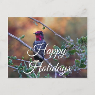 Colibri au coucher du soleil carte postale, Joyeus