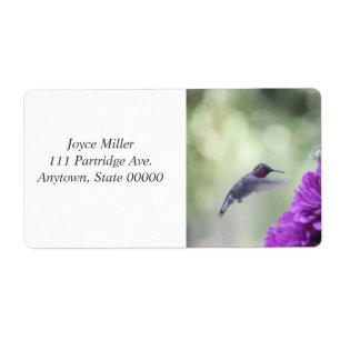 Colibri aux dahlias violets