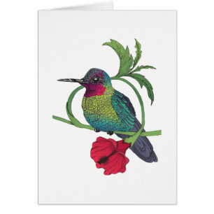 Colibri Bird Illustration Card