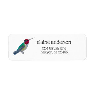 Colibri d'Anna