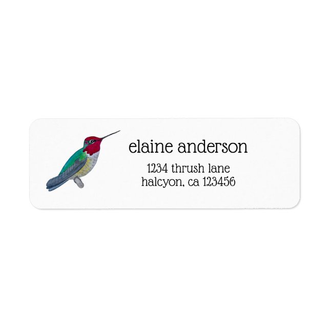Colibri d'Anna (Devant)