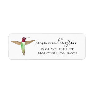 Colibri d'Anna