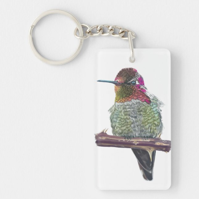 Colibri d'Anna (Devant)