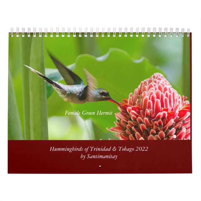 Colibri de Trinité-et-Tobago Calendrier 2022 (Protection)