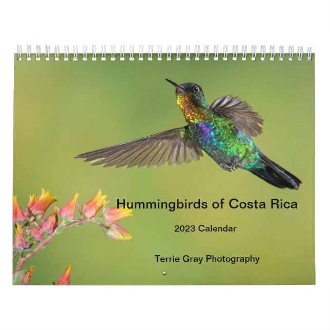 Colibri du Costa Rica Calendrier (Protection)