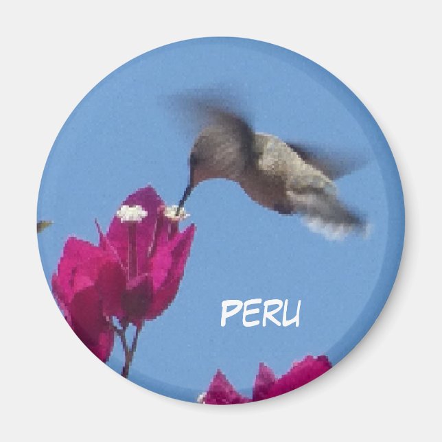 Colibri du Pérou Magnet (Devant)