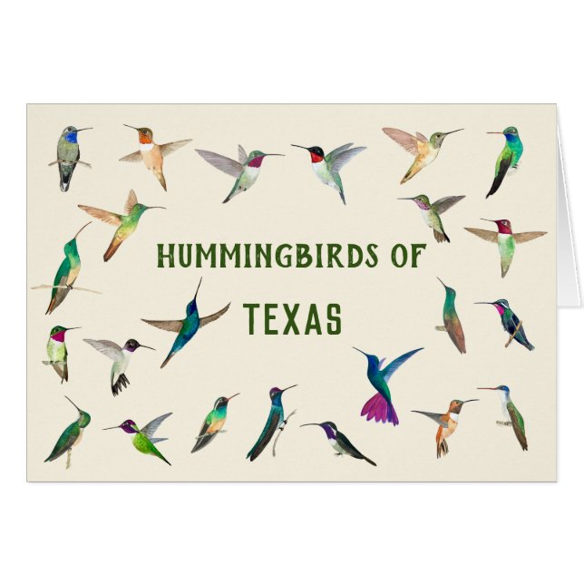 Colibri du Texas (Devant horizontal)