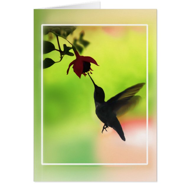 Colibri En Silhouette (Devant)