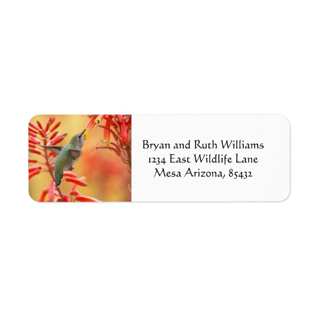 Colibri entouré de yucca rouge (Devant)