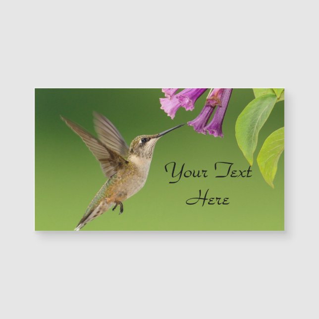 Colibri Et Carte de visite Magnétique Fleur (Devant)