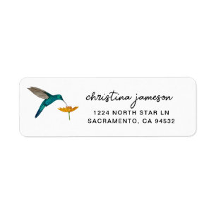 Colibri et fleurs